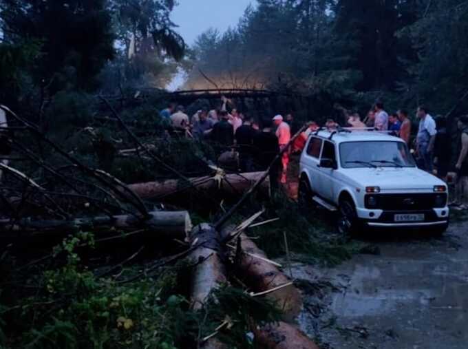 Шесть человек погибли и ещё 22 пострадали во время мощнейшего урагана в Марий Эл