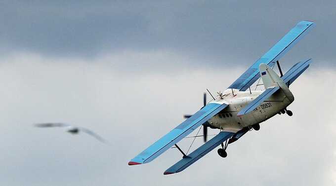 На Чукотке пропал со связи самолет Ан-2